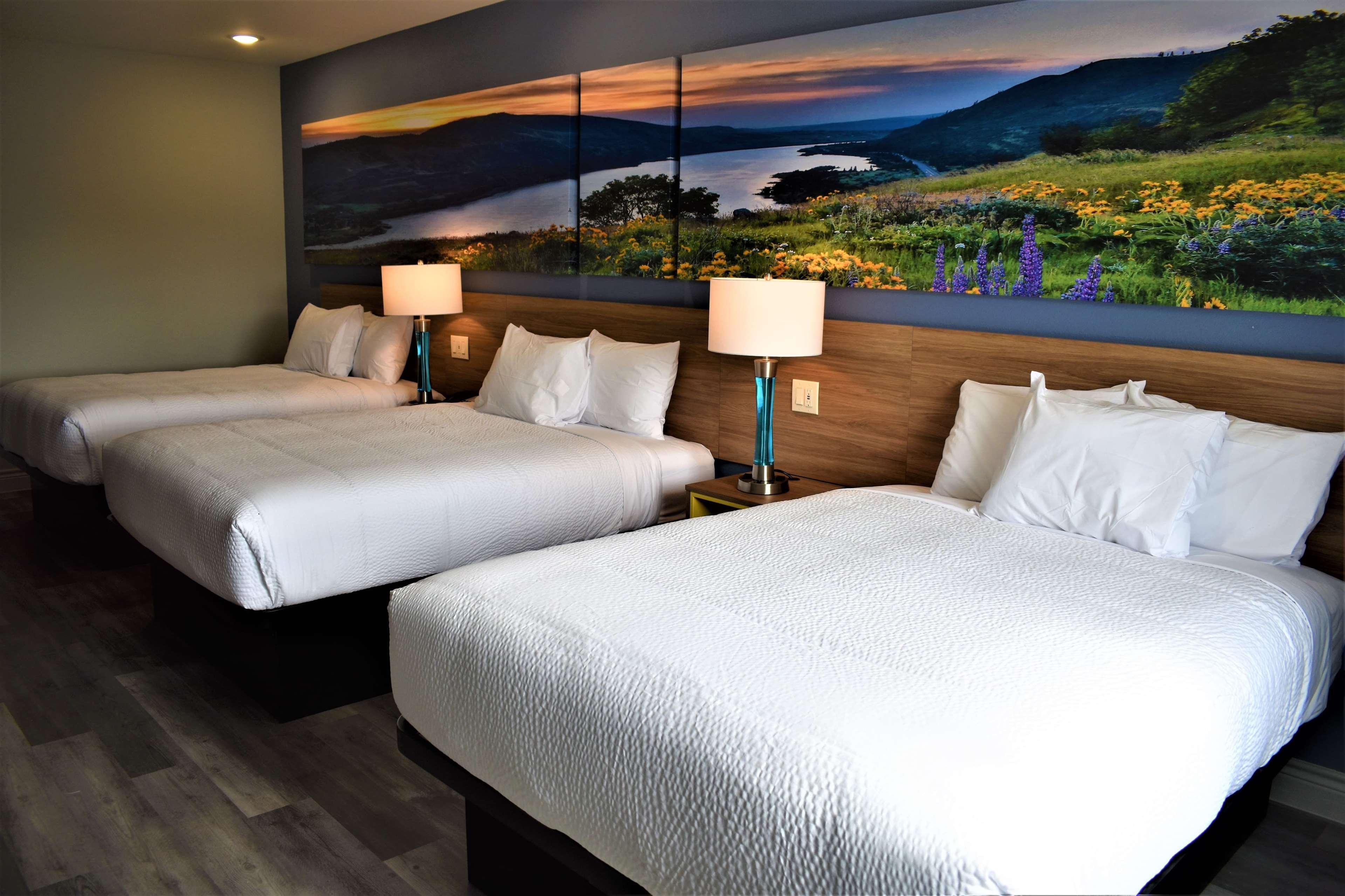 Days Inn & Suites By Wyndham Downtown/University Of Houston Luaran gambar